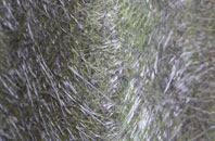 Badwell Ash fibreglass roof work